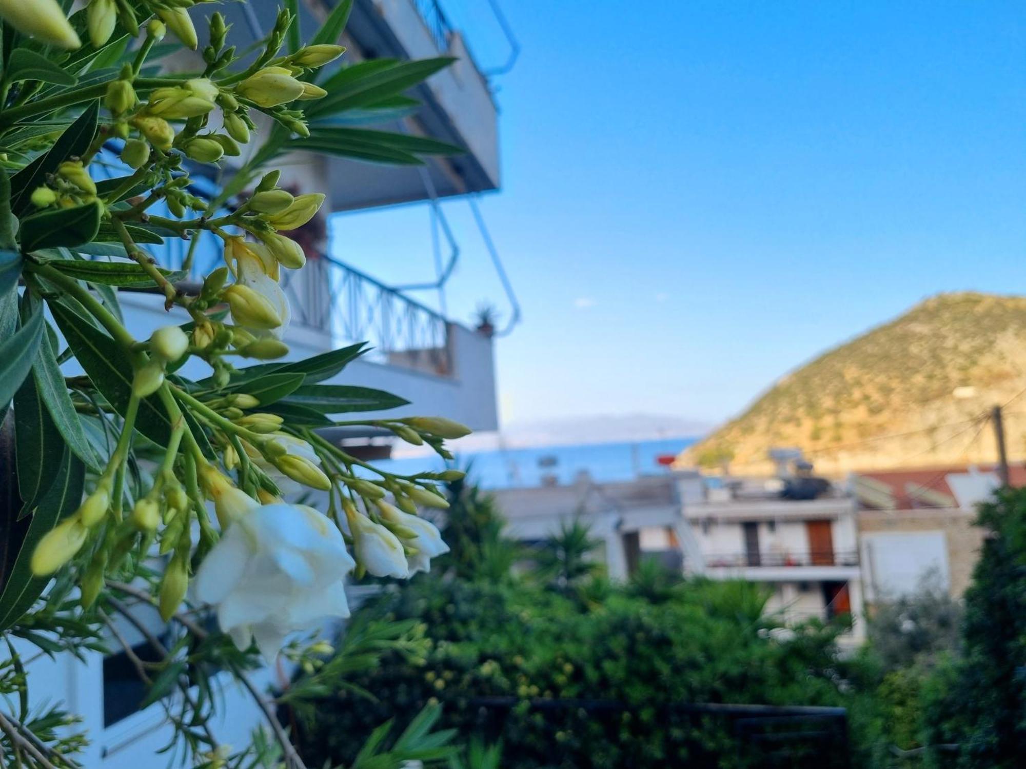 Apartament Tolo At Sea - Nova Zewnętrze zdjęcie